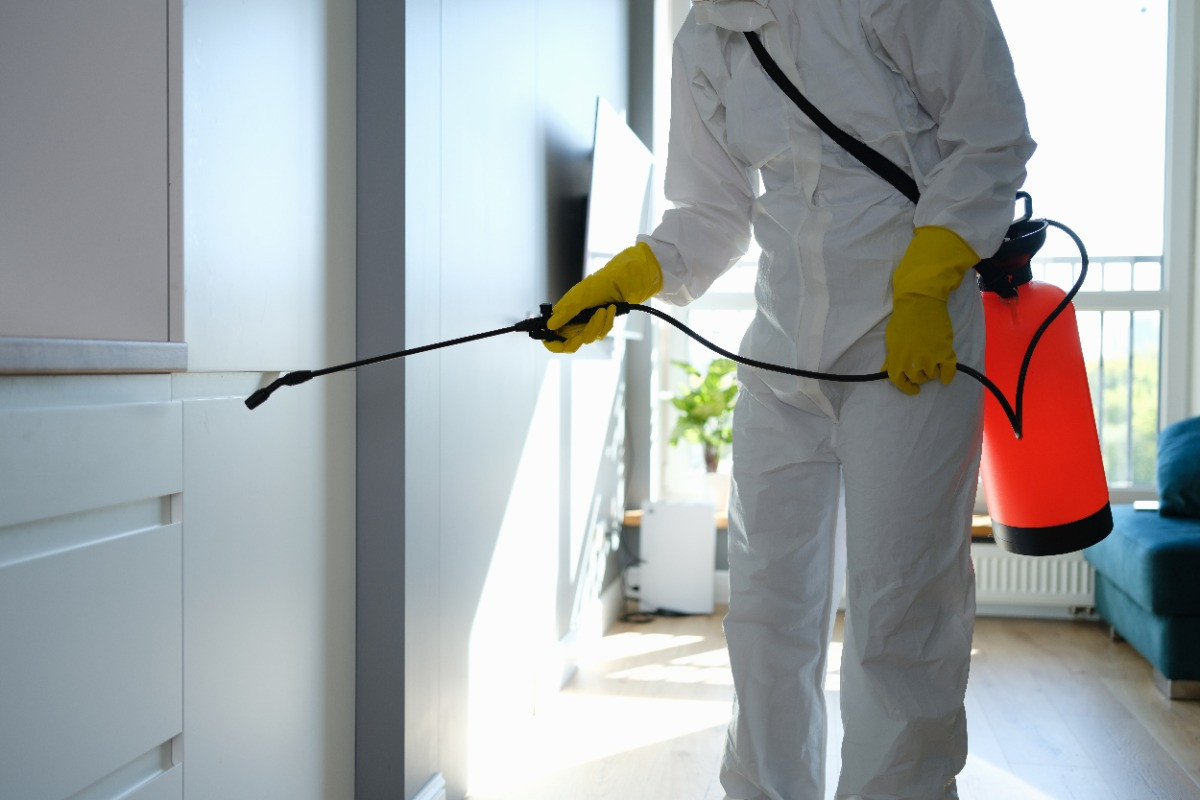 Pest control spraying walls in homes