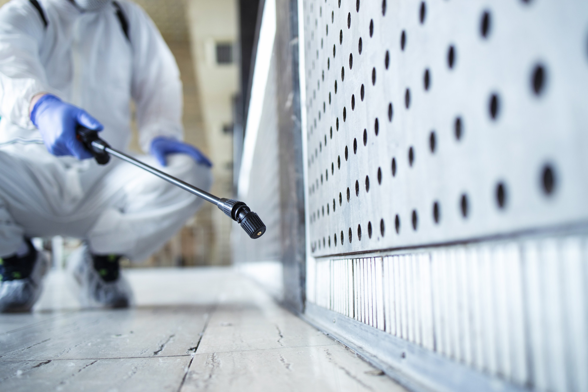 Pest Control spraying floor near wall