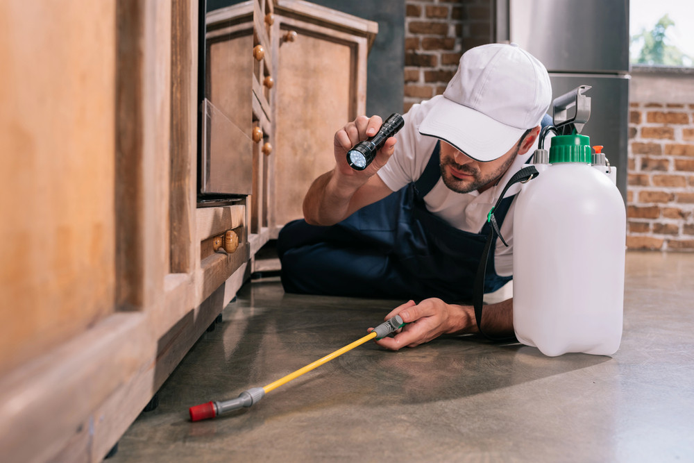 Pest Control Prairieville, LA