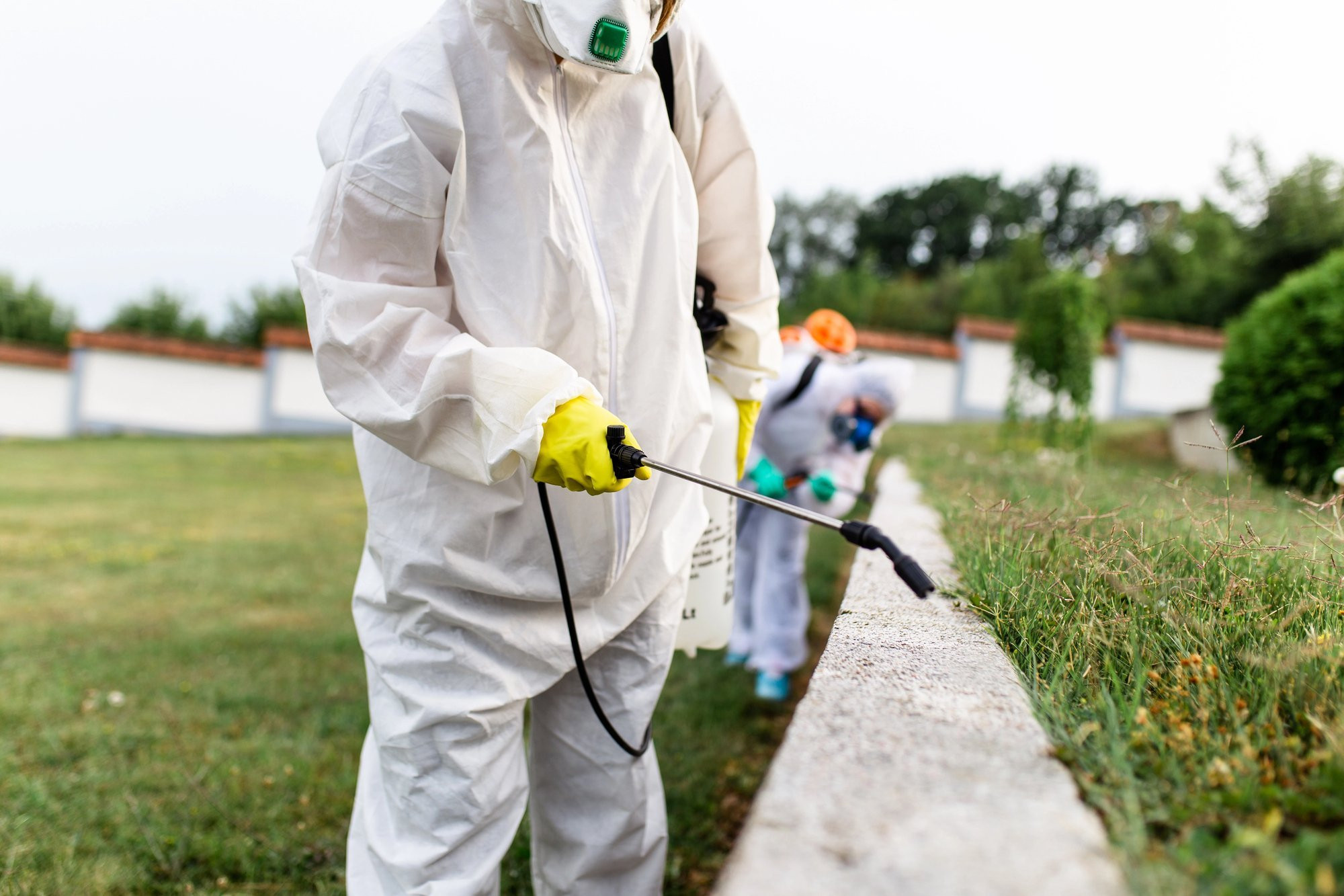 Professional residential pest control for Addis, LA homes Professional residential pest control for Addis, LA homes