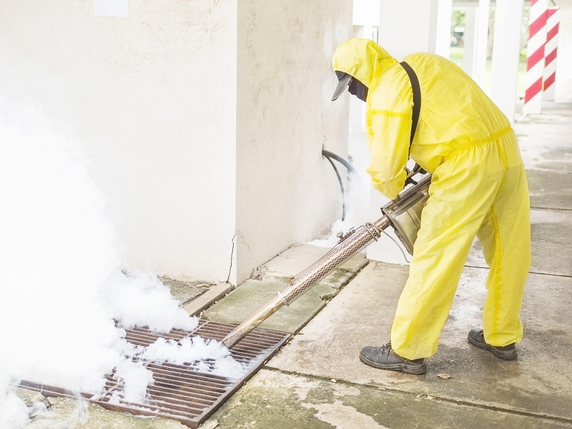 Preventive pest control services for Addis, Louisiana properties Preventive pest control services for Addis, Louisiana properties